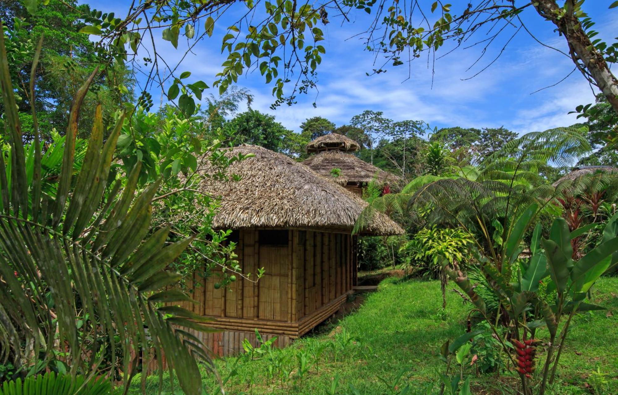 La Selva Eco-Lodge & Retreat Providencia Exterior foto